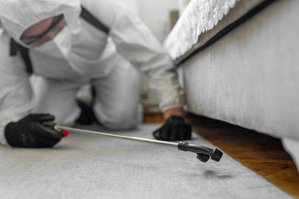 Professional Bed Bug Control technician working in Highland Heights, OH